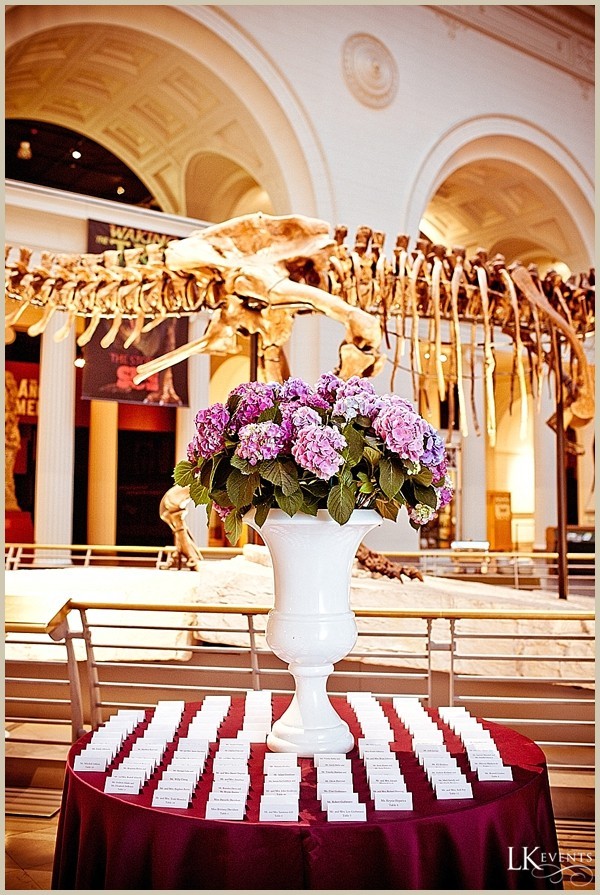 LKEvents_Chicago-Field-Museum_Wedding_0045